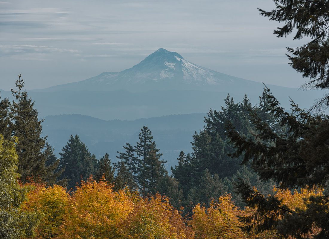 About Our Agency - Landscape View of Willamette River at West Linn in Oregon