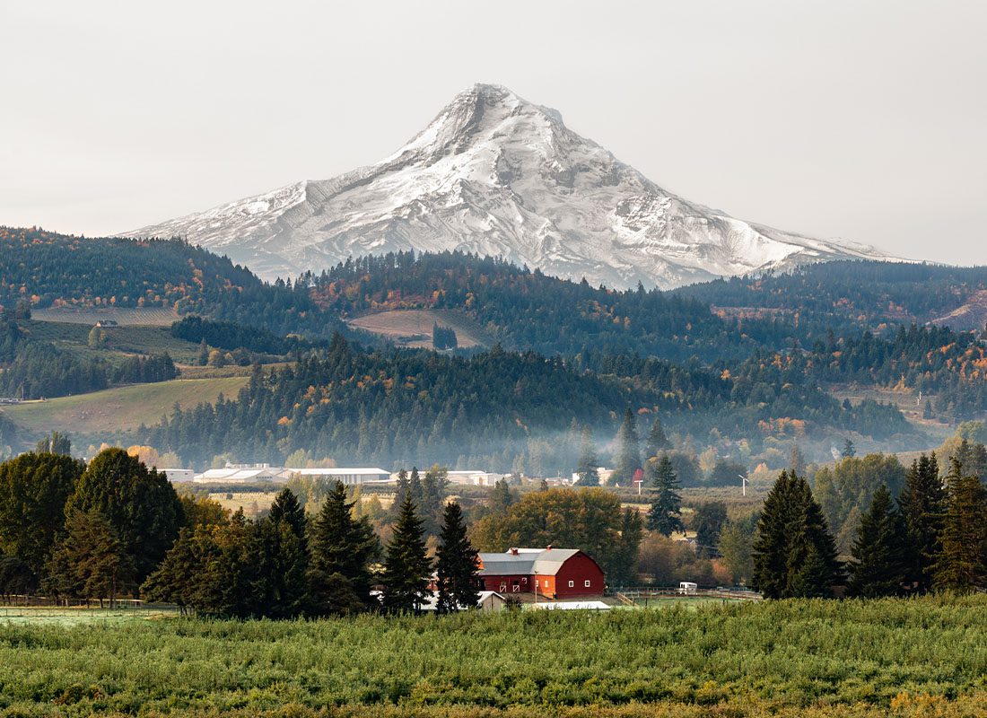 Insurance by Industry - View of a Red Barn and Orchard With MT Hood in the Background